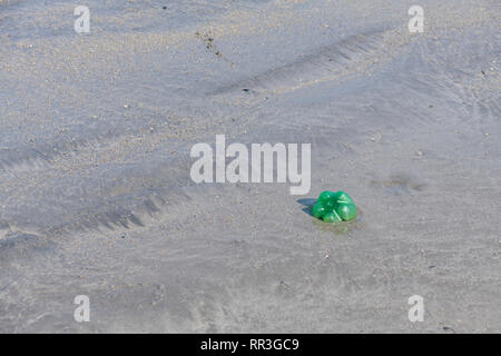 Bouteille de boisson gazeuse en plastique vide laissée incrustée dans le sable argenté de la plage. Pour la pollution de plage en plastique, plastique polluant de l'océan, bouteilles en plastique Royaume-Uni plage. Banque D'Images