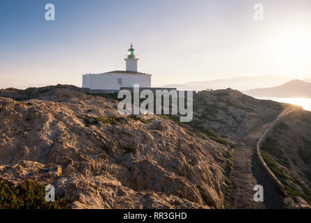 Soleil du matin sur le phare de la Pietra rock à Ile Rousse en Balagne Corse Banque D'Images