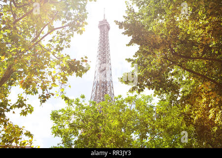 Haut de la tour Eifel à travers la verdure des feuillages, Banque D'Images