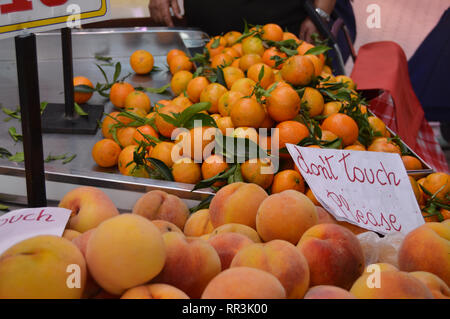 Une grande variété de fruits tropicaux frais sur le comptoir de l'épicerie. Banque D'Images