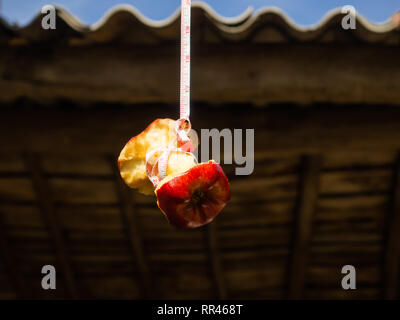 Concept de problèmes avec la nourriture. Une pomme rouge se suicider, accroché avec un ruban à mesurer Banque D'Images