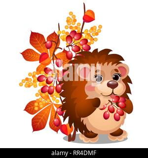 Happy smiling hedgehog mange les baies mûres de viburnum et les feuilles d'automne isolé sur fond blanc. Cartoon Vector illustration close-up. Illustration de Vecteur