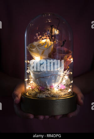 Womans mains tenant des roses dans un dôme en verre Banque D'Images