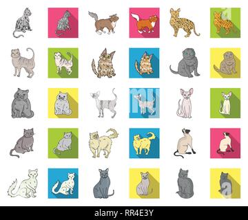 Angora,américain,animal,race,apparence,la,caricature,télévision,cat,personnage,chartreux,chocolat,collection,griffe,cornish,mignon,design,branche,exotiques,pliage,félin fourrure,les habitudes,icône,,illustration,et,aussi,isolé,cheveux longs,mammifère,rock,norvégien persan,animal,peterbald,purr,rex,savannah,scottish,semi,set,shorthair siamois,signe,sphynx,symbole,câline,turque,,laine,New york,vecteurs vecteur , Illustration de Vecteur