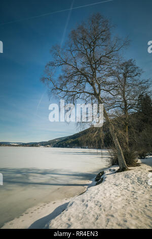 Paysage d'hiver sur le Titisee gelé dans la Forêt-Noire, Allemagne Banque D'Images