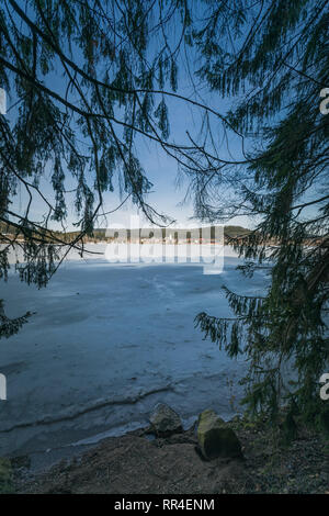 Paysage d'hiver sur le Titisee gelé dans la Forêt-Noire, Allemagne Banque D'Images