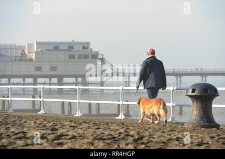 Pays de Galles Aberystwyth UK. Dimanche 24 févr. 2019 météo Royaume-uni : Les gens le dimanche matin, profitant de l'ensoleillement en février incroyablement chaude Aberystwyth, sur la côte ouest du pays de Galles. Le temps devrait rester très bien pour les prochains jours avec la possibilité d'enregistrer les températures ont dans certains endroits Photo © Keith Morris / Alamy Live News Banque D'Images