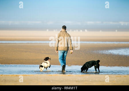 Southport, Merseyside, Royaume-Uni. 24 février 2019. Chaude journée ensoleillée. Les gens prennent leurs chiens pour une promenade au soleil sur le sable doré de la plage de Southport Merseyside. Credit : Cernan Elias/Alamy Live News Banque D'Images