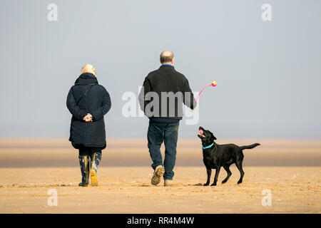 Southport, Merseyside, Royaume-Uni. 24 février 2019. Chaude journée ensoleillée. Les gens prennent leurs chiens pour une promenade au soleil sur le sable doré de la plage de Southport Merseyside. Credit : Cernan Elias/Alamy Live News Banque D'Images