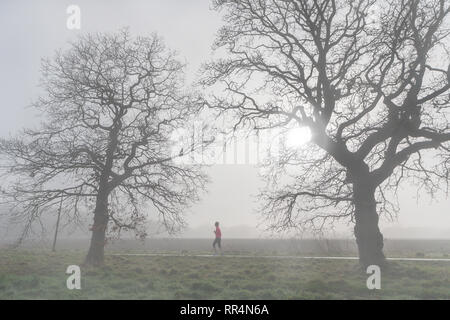 Warrington, Cheshire, Royaume-Uni. Feb 24, 2019. 24-02-19 - La météo a donné un matin brumeux à Grappenhall Warrington, Heys près de Cheshire, Angleterre. Une journée ensoleillée avait été prévu mais il a fallu un certain temps pour brûler le brouillard dans la campagne Crédit : John Hopkins/Alamy Live News Banque D'Images