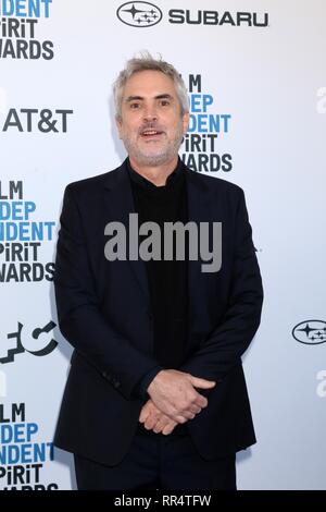 Alfonso Cuaron, au niveau des arrivées pour 34e Film Independent Spirit Award Cérémonie - 1 des arrivées, la plage de Santa Monica, Santa Monica, CA, le 23 février 2019. Photo par : Priscilla Grant/Everett Collection Banque D'Images