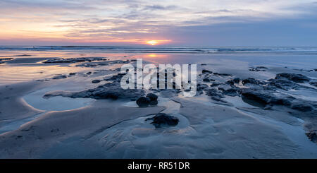 Borth, Ceredigion, pays de Galles, Royaume-Uni 24 février 2019 Météo France : le coucher de soleil sur la forêt le long de la plage submergée Borth dans Ceredigion, pays de Galles. Crédit : Ian Jones/Alamy Live News. Banque D'Images