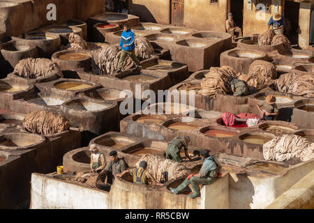 Les travailleurs de la Tannerie Chouara, cuves de teinture, Fes, Maroc Banque D'Images