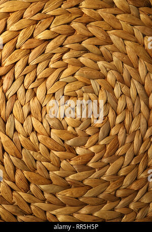 Vertical image de couleur brun-doré motif tissé de jacinthes d'eau place mat pour le fond ou la bannière Banque D'Images