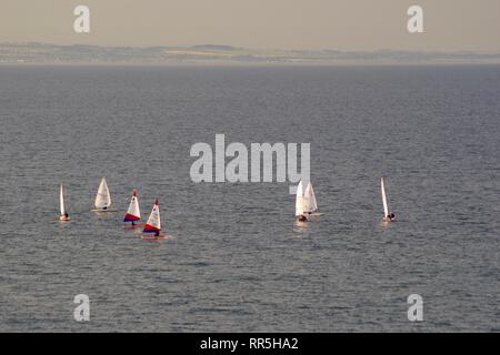 Dériveurs Voile en solitaire sur une paisible soirée d'été par St Andrew's, Fife, Scotland, UK. Banque D'Images