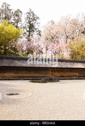 Sakura tombe sur Ryōan-ji Banque D'Images