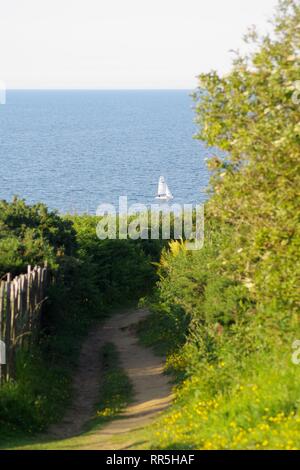 Dériveurs Voile en solitaire sur une paisible soirée d'été par St Andrew's, Fife, Scotland, UK. Banque D'Images