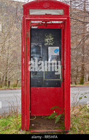 Vieux téléphone fort abandonné désaffecté avec fougère vert intérieur croissant Banque D'Images