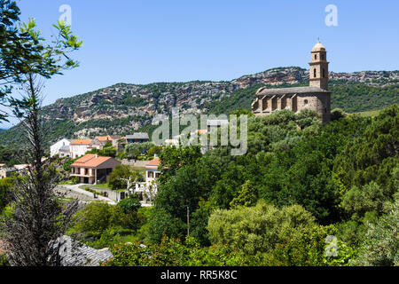 San Martinu (Saint Martin's) Église, Patrimonio, Cap Corse, Corse, France Banque D'Images