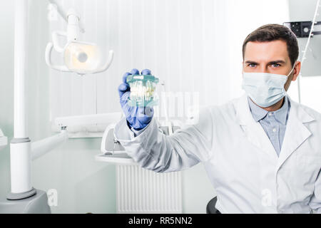 Dentiste dans des gants en latex et un masque tenant en main modèle dents Banque D'Images