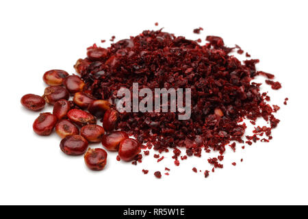 Sumac moulu et les baies isolées sur fond blanc Banque D'Images