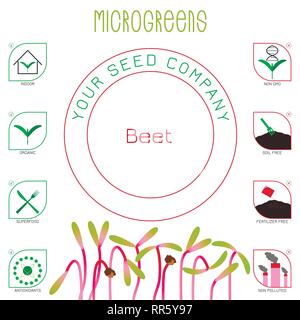 Betterave Microgreens. La conception des emballages de semences. Icônes - piscine, bio, superfood, antioxydants, non OGM, du sol, de l'engrais gratuit, non pollué Illustration de Vecteur