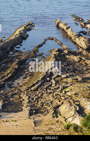 Pli anticlinal érodé exposés en lits de grès d'âge carbonifère le long de la côte de Fife sur une soirée d'été. St Andrew's, Ecosse, Royaume-Uni. Banque D'Images