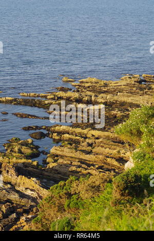 Exposés des lits de grès d'âge carbonifère le long de la côte de Fife sur une soirée d'été. St Andrew's, Ecosse, Royaume-Uni. Banque D'Images