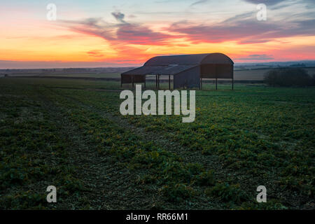 Sixpenny Handley, Dorset, England, UK Banque D'Images