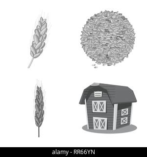 Printemps,grenier,spike,graines,des,céréales,son,maïs,remise,golden,alimentation,or,rural,chalet,vert,Avoine Blé dur,immobilier,Culture,industrie,farine,pain,automne,graines,,orge seigle,oreille,plantes,blé,maïs,grain,récolte,ferme,terrain,agriculture,agriculture,,set,icône,,illustration,collection,isolé,design,graphisme,élément signe,gris,noir,vecteurs vecteur , Illustration de Vecteur