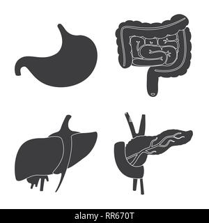 Estomac Foie pancréas,,,tube,,endocriniens,intestin gastrique,body,diabète, la douleur,alimentaire,gastro-jéjunale,sain,cancer,estomac,flore,artères,acide,hépatite,tumeur,ache,prévention,abdominale,,reflux,science,bactéries, laboratoire de recherche, l'anatomie, d'organes internes,,médical,des,santé,biologie,scientifique,,set,icône,,illustration,collection,isolé,design,graphisme,élément,signer,Black,de simples vecteurs vecteur , Illustration de Vecteur