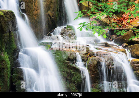 Cascade aux petites cascades. belle nature fond en été. Direction générale avec des feuilles vertes au-dessus d'une longue exposition. Banque D'Images