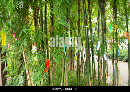 Les gens d'affaires inscrivez-vous et souhaite écrire sur papier et l'accrocher sur l'arbre en bambou Tanabata festival japonais Star ou le Japon au village le 8 juillet, 2018 à Ay Banque D'Images