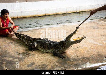 Crocodile Wrestling Show pour les Thaïlandais et les voyageurs à la recherche d'éléphants à Samphran foriegner au sol et ferme des crocodiles le 17 juillet 2018 à Nakhon Pha Banque D'Images