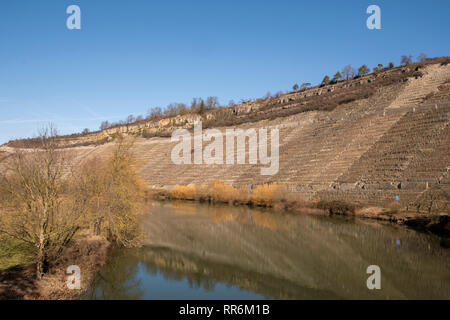 Neckar de vignes dans l'hibernation Banque D'Images