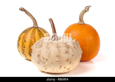 Trois citrouilles décoratives isolé sur fond blanc Banque D'Images