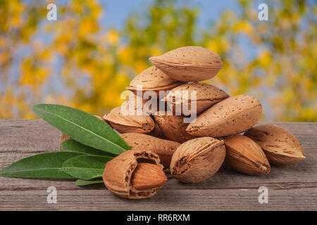 Des tas d'amandes dans leur peau et décortiquées avec feuille isolé sur fond blanc Banque D'Images