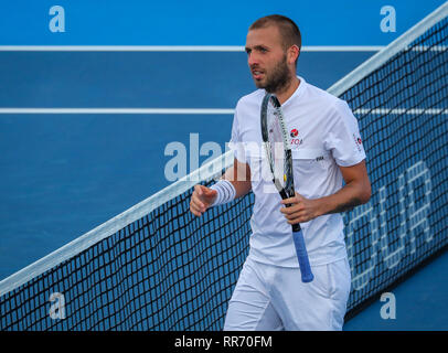 Delray Beach, Florida, USA. Feb 24, 2019. Daniel Evans, de Grande-Bretagne, au cours de la des célibataires finale du 2019 Open ATP de Delray Beach tennis professionnel tournoi, contre Radu Albot, de Moldova, joué au stade de Delray Beach & Tennis Center à Delray Beach, Florida, USA. Mario Houben/CSM/Alamy Live News Banque D'Images