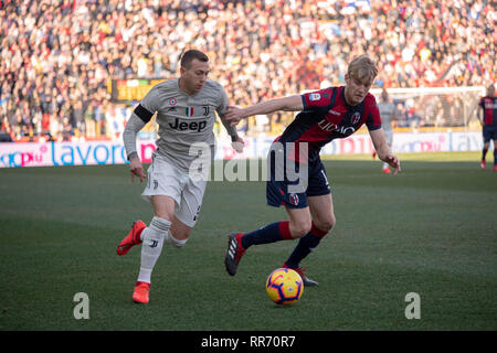 Federico Bernardeschi (Juventus) Filip Helander (Bologne) au cours de l'Italien 'Serie' un match entre Bologne 0-1 Juventus au stade Renato Dall'Ara, le 24 février 2019 à Bologne, en Italie. Credit : Maurizio Borsari/AFLO/Alamy Live News Banque D'Images