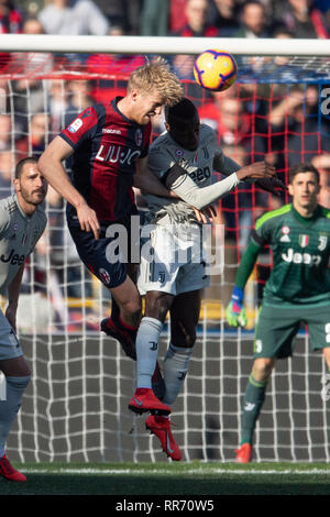 Filip Helander (Bologne) Blaise Matuidi (Juventus) au cours de l'Italien 'Serie' un match entre Bologne 0-1 Juventus au stade Renato Dall'Ara, le 24 février 2019 à Bologne, en Italie. Credit : Maurizio Borsari/AFLO/Alamy Live News Banque D'Images