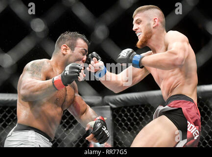 Prague, République tchèque. Feb 23, 2019. Ismail Naurdiev (droite) de l'Autriche se bat avec Michel Prazeres au Brésil pendant l'UFC Fight Night Prague, le 23 février 2019 à Prague, République tchèque. Photo : CTK Vit Simanek/Photo/Alamy Live News Banque D'Images