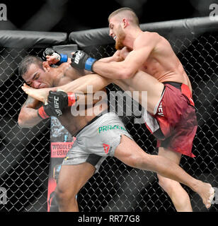 Prague, République tchèque. Feb 23, 2019. Ismail Naurdiev (droite) de l'Autriche se bat avec Michel Prazeres au Brésil pendant l'UFC Fight Night Prague, le 23 février 2019 à Prague, République tchèque. Photo : CTK Vit Simanek/Photo/Alamy Live News Banque D'Images