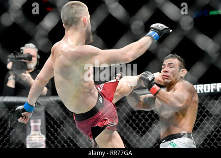 Prague, République tchèque. Feb 23, 2019. Ismail Naurdiev (à gauche), de l'Autriche se bat avec Michel Prazeres au Brésil pendant l'UFC Fight Night Prague, le 23 février 2019 à Prague, République tchèque. Photo : CTK Vit Simanek/Photo/Alamy Live News Banque D'Images