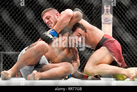 Prague, République tchèque. Feb 23, 2019. Ismail Naurdiev (up) de l'Autriche se bat avec Michel Prazeres au Brésil pendant l'UFC Fight Night Prague, le 23 février 2019 à Prague, République tchèque. Photo : CTK Vit Simanek/Photo/Alamy Live News Banque D'Images