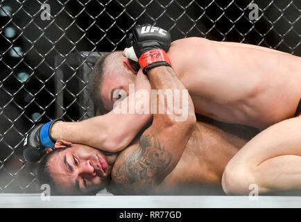 Prague, République tchèque. Feb 23, 2019. Ismail Naurdiev (up) de l'Autriche se bat avec Michel Prazeres au Brésil pendant l'UFC Fight Night Prague, le 23 février 2019 à Prague, République tchèque. Photo : CTK Vit Simanek/Photo/Alamy Live News Banque D'Images