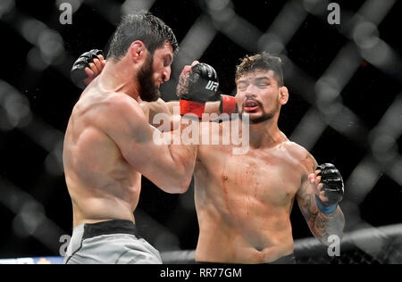 Prague, République tchèque. Feb 23, 2019. Magomed Ankalaev (gauche) de la Russie se bat avec Klidson Abreu au Brésil pendant l'UFC Fight Night Prague, le 23 février 2019 à Prague, République tchèque. Photo : CTK Vit Simanek/Photo/Alamy Live News Banque D'Images