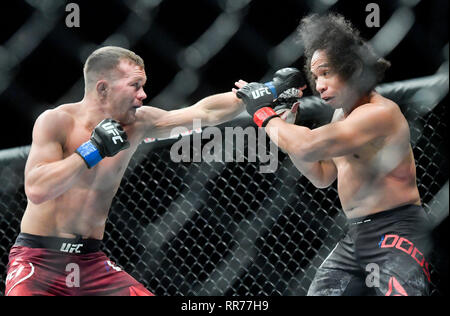 Prague, République tchèque. Feb 23, 2019. Petr Yan (à gauche) de la Russie se bat avec John Dodson de USA au cours de l'UFC Fight Night Prague, le 23 février 2019 à Prague, République tchèque. Photo : CTK Vit Simanek/Photo/Alamy Live News Banque D'Images