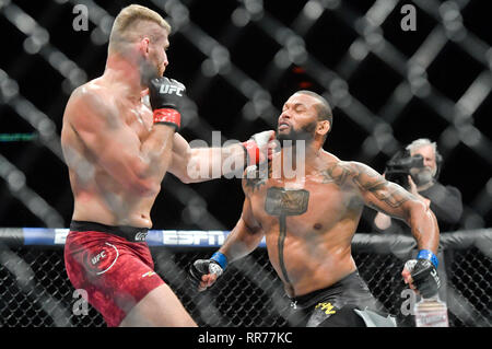 Prague, République tchèque. Feb 23, 2019. Jan Blachowicz (gauche) de la Pologne se bat avec Thiago Santos du Brésil au cours de l'UFC Fight Night Prague, le 23 février 2019 à Prague, République tchèque. Photo : CTK Vit Simanek/Photo/Alamy Live News Banque D'Images