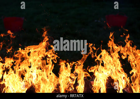 Vue générale de la Charité Fire Marche à Aldingbourne Trust dans le West Sussex, Royaume-Uni. Banque D'Images