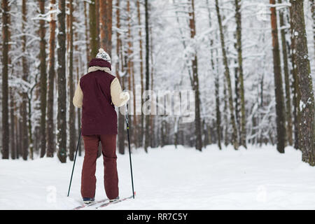 L'homme le ski en forêt Vue arrière Banque D'Images